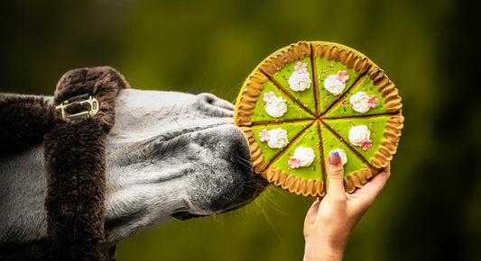 Limited edition - Easter cookies!