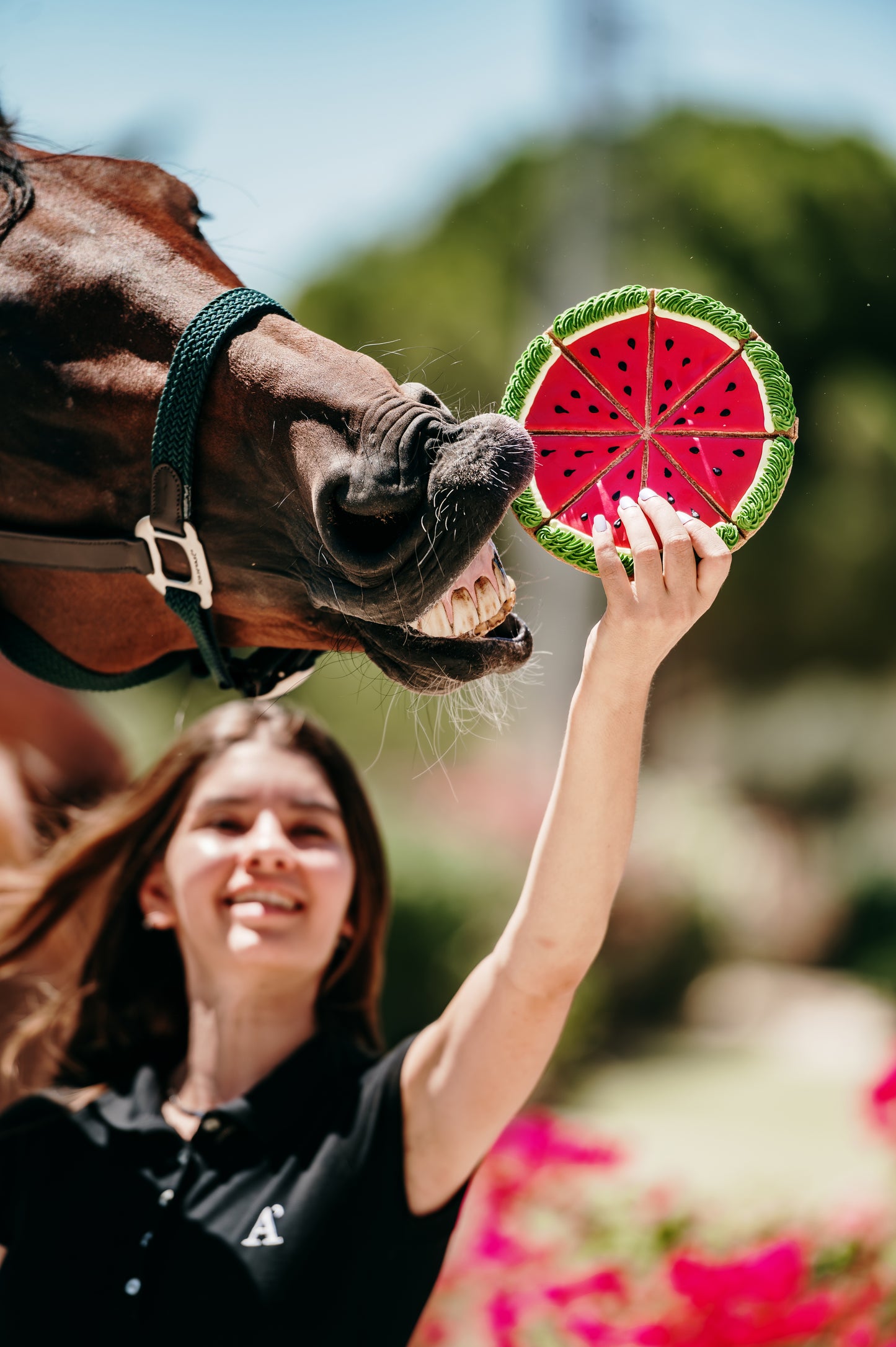 JUNGLE – Limited Edition Watermelon Tart I Hand-decorated royal-icing cookie for horses