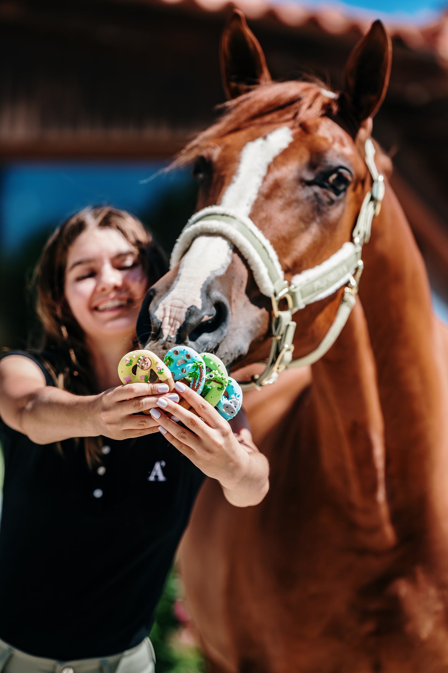 JUNGLE - Limited Edition Iced Pretzels I 6 Royal-icing decorated horse treat pretzels
