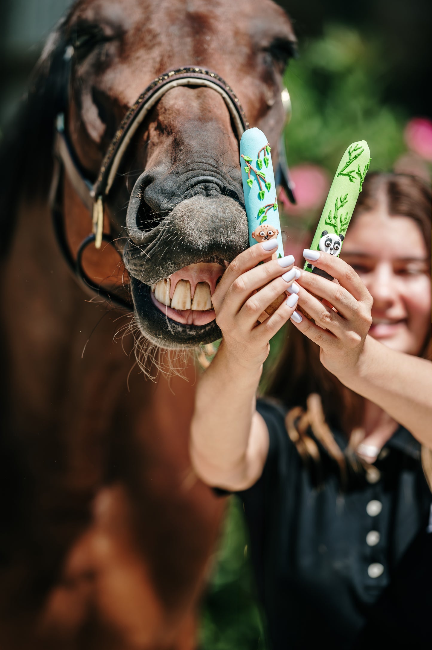 JUNGLE - Limited Edition Iced Sticks I 6 Royal-icing decorated horse treat sticks