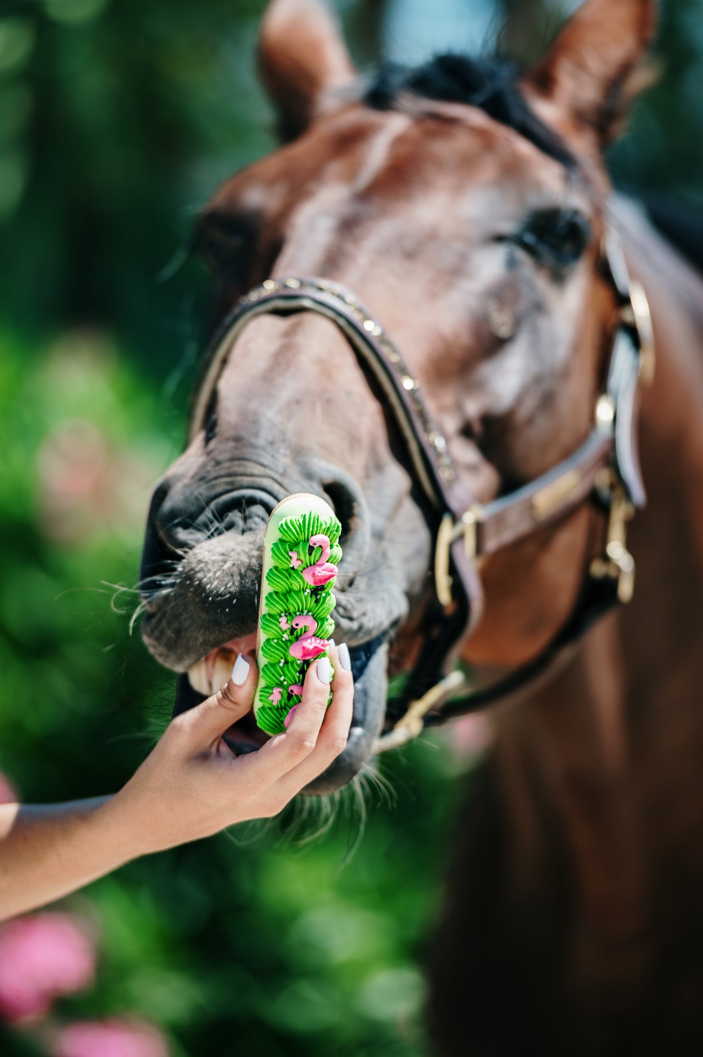 JUNGLE - Limited Edition Iced Eclair I Hand-decorated eclair with Royal-icing for horses