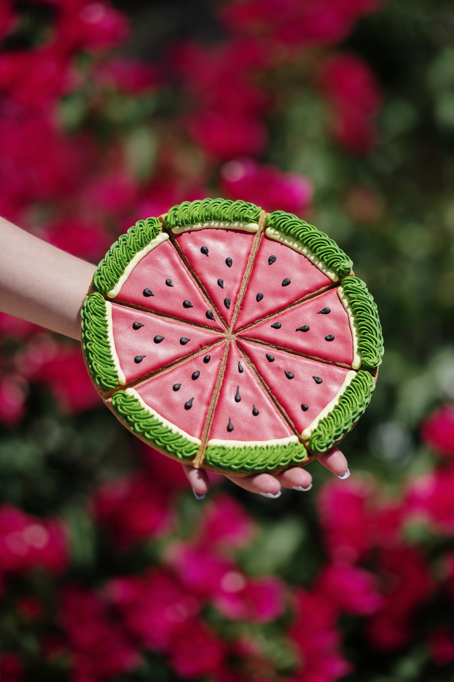 JUNGLE – Limited Edition Watermelon Tart I Hand-decorated royal-icing cookie for horses