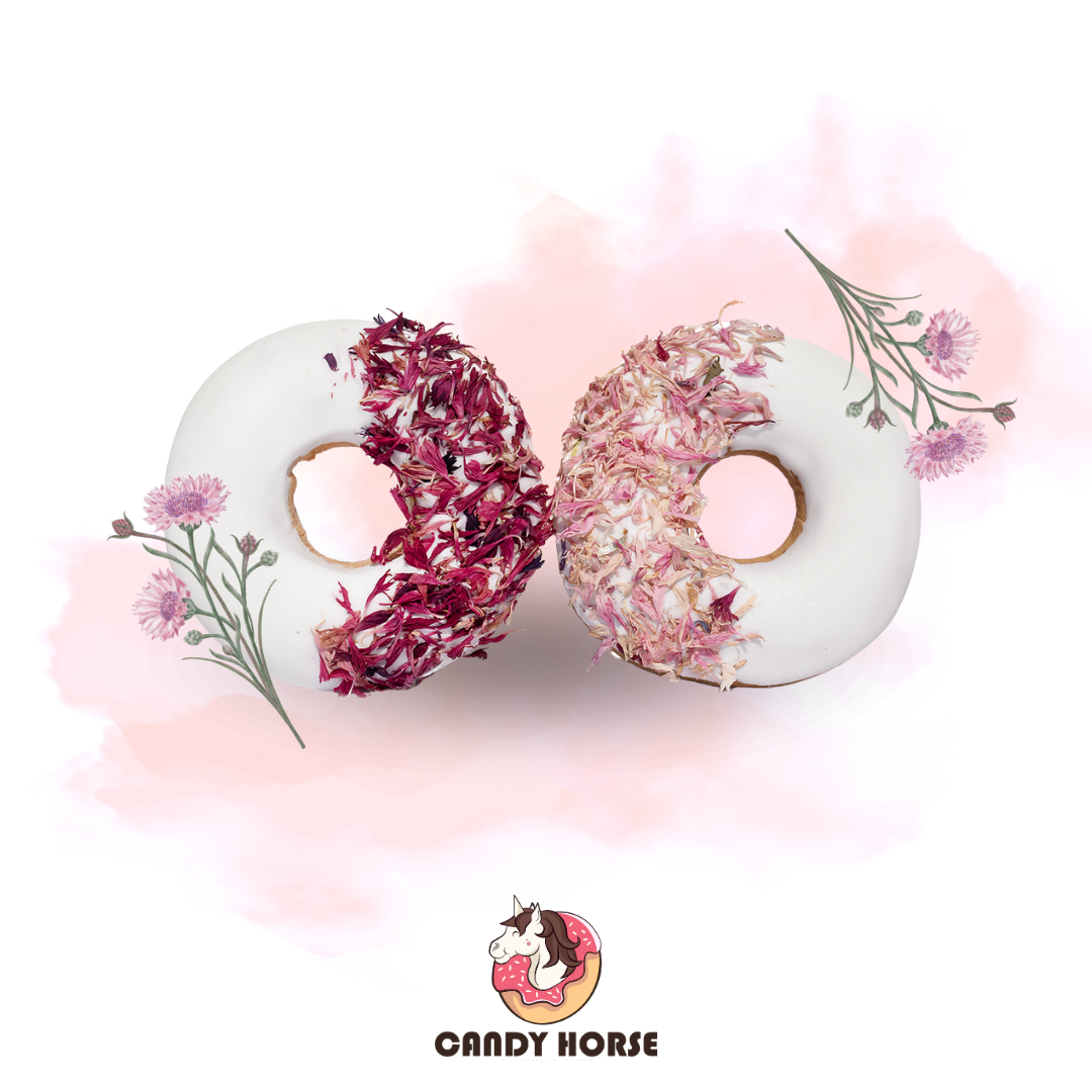 Donuts pink cornflower I Set of 2 horse treat donuts with icing and herbs