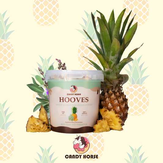 Hooves pineapple-sage I Big box of cookie treats for horses