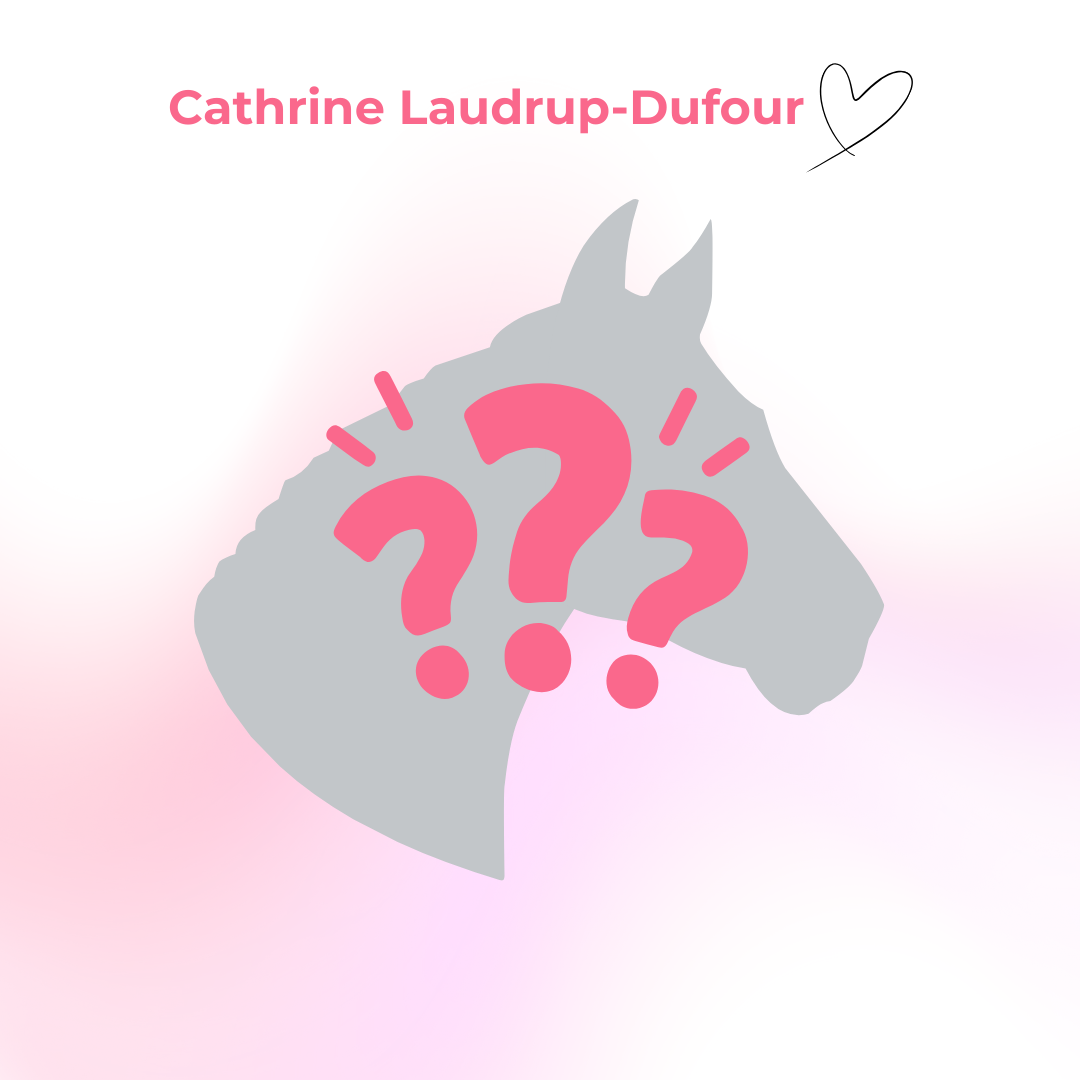 Cathrine's Cookie - Limited Edition Iced Horse Cookie I hand-decorated horse treat cookie with HORSE motif