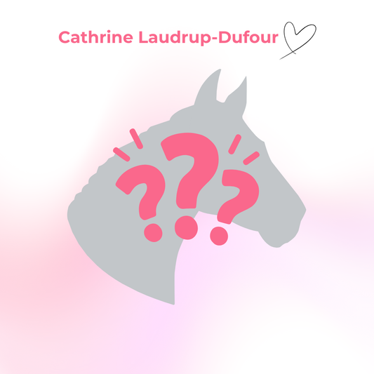 Cathrine's Cookie - Limited Edition Iced Horse Cookie I hand-decorated horse treat cookie with HORSE motif