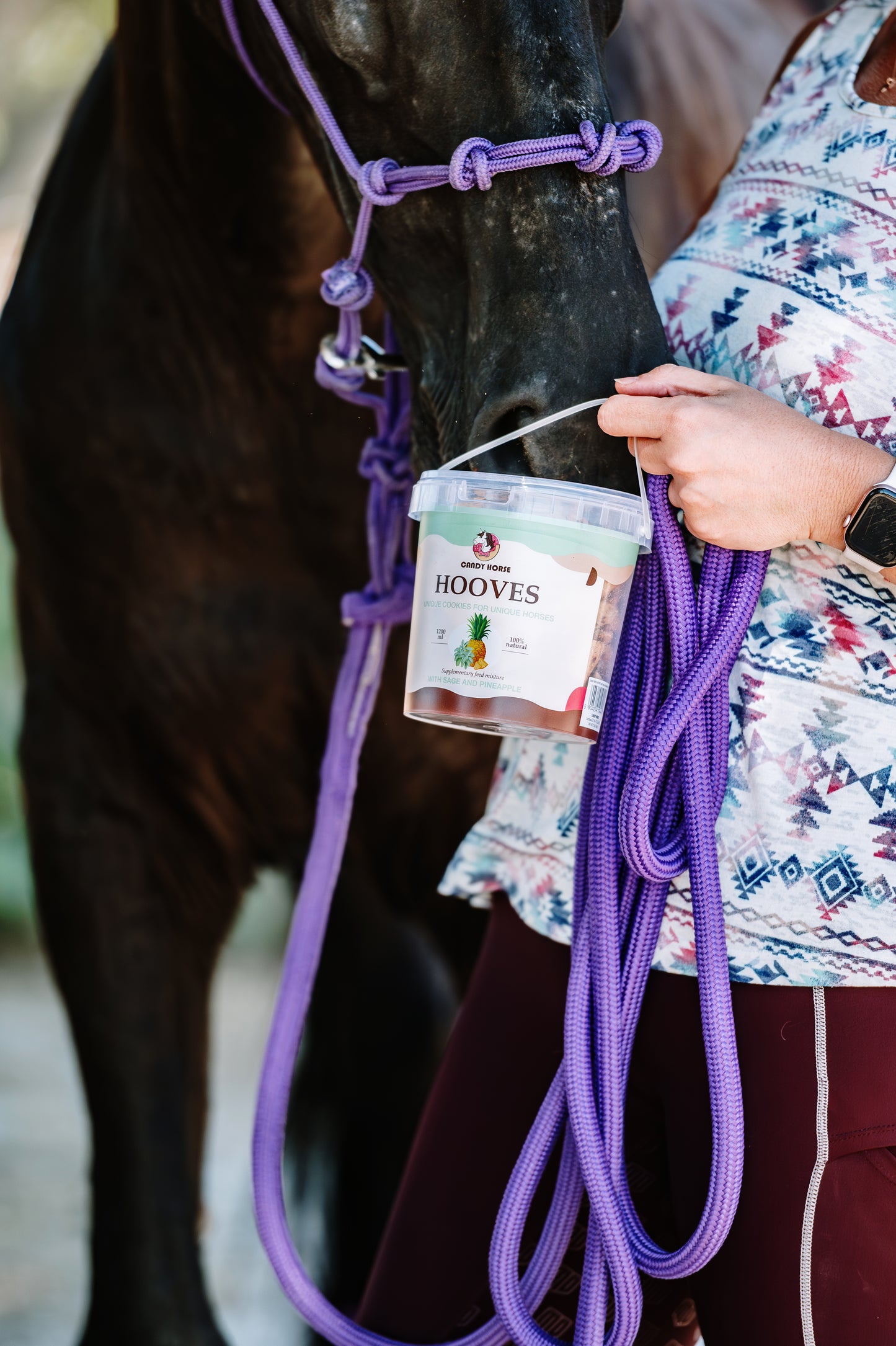 Hooves pineapple-sage I Big box of cookie treats for horses