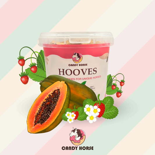 LIMITED EDITION Hooves papaya-wild strawberry I Big box of cookies for horses