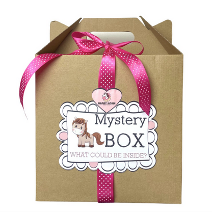 Mystery Box Big